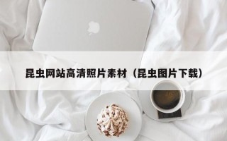 安陆昆虫网站高清照片素材（昆虫图片下载）